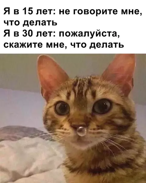 Смешная картинка №360558