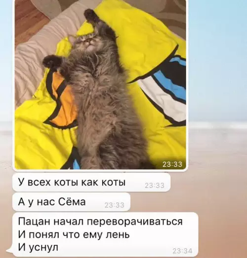 Смешная картинка №173473 Уровень лени: Сёма