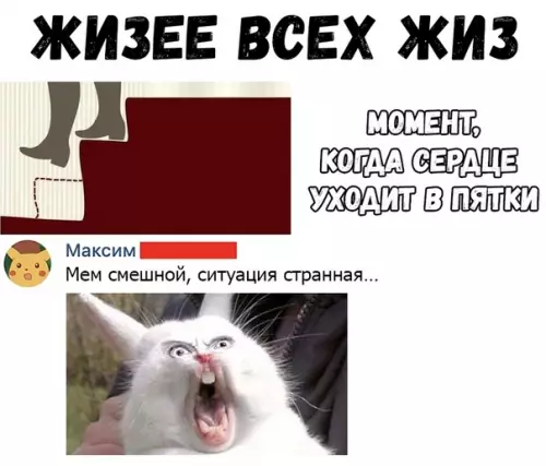 Смешная картинка №363852