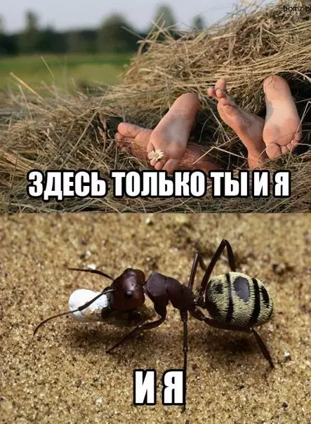 Смешная картинка №189458
