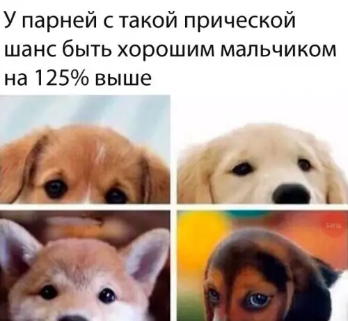 Смешная картинка №218757