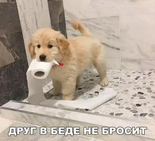 Смешная картинка №209027