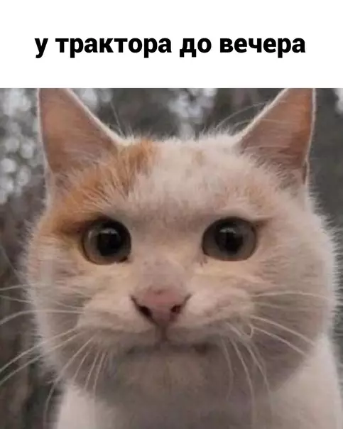 продолжение Смешная картинка №600106 To-do лиcт