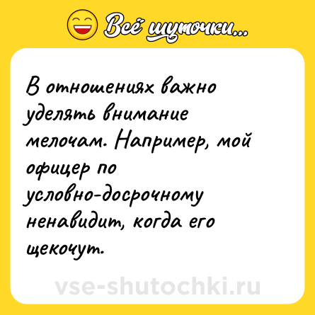 Шутка: В отношениях важно уделять внимание мелочам. Например, мой офицер по условно-досрочному ненавидит, когда его щекочут.