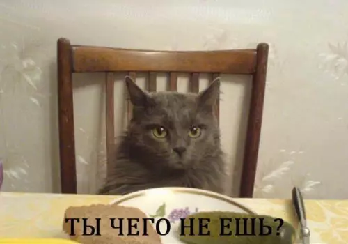 Смешная картинка №400702