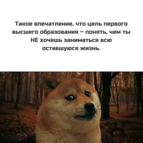 Смешная картинка №555552 Действительно.