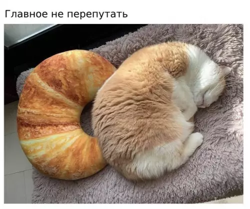 Смешная картинка №575757 Двa кpyaccaнa