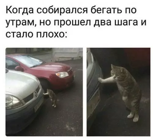Смешная картинка №300837