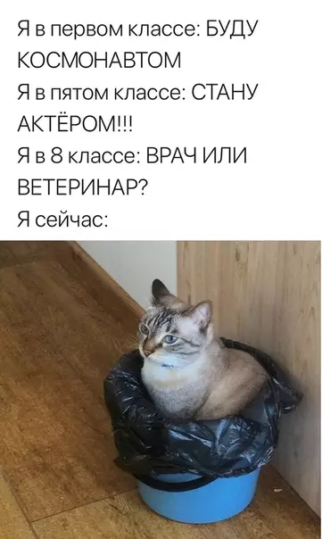 Смешная картинка №364032