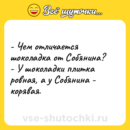 Шутка: - Чем отличается шоколадка от Собянина?<br>- У шоколадки плитка ровная, а у Собянина - корявая.