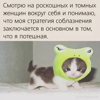 Смешная картинка №685029
