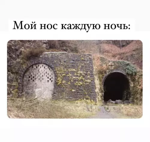 Смешная картинка №669344 Заложенность носа