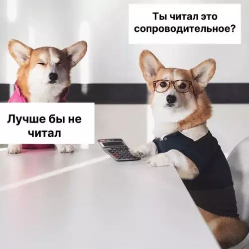 Смешная картинка №756199 Не пройдешь собес,тут все понятно