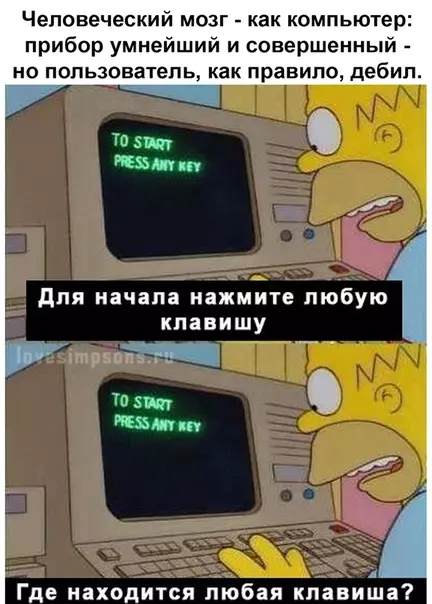 Смешная картинка №489318 В точку!