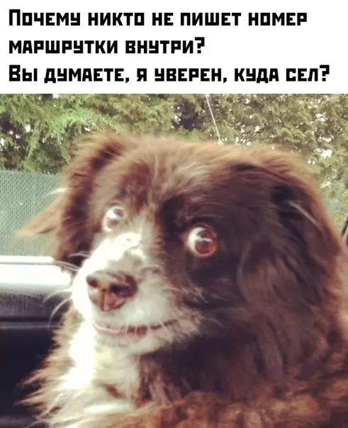 Смешная картинка №459252