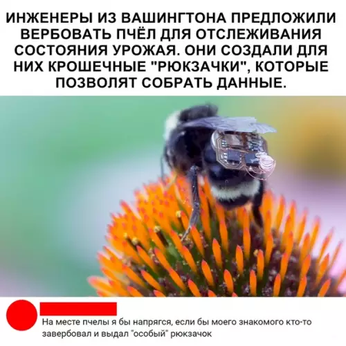 Смешная картинка №319009