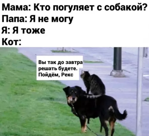 Смешная картинка №765007