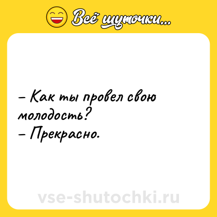 Шутка: – Как ты провел свою молодость?<br>– Прекрасно.