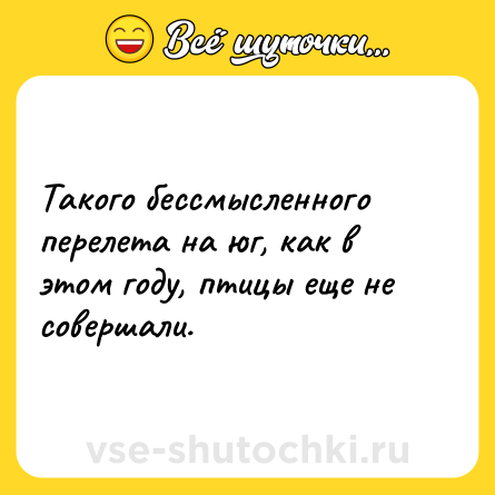 Шутка: Такого бессмысленного перелета на юг, как в этом году, птицы еще не совершали.