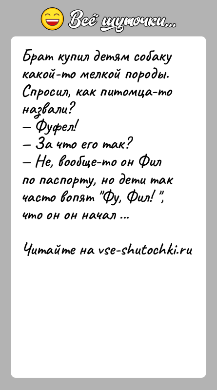 История: Брат купил детям собаку какой-то мелкой породы. Спросил, как питомца-то назвали? Фуфел! За что его так? Не,
