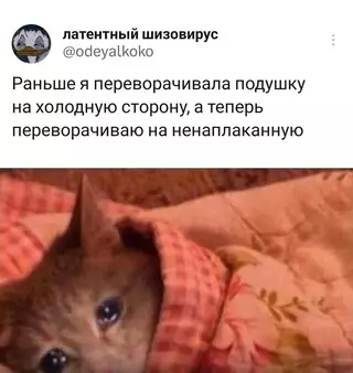 Смешная картинка №686558