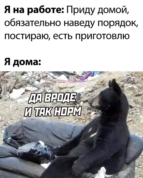Смешная картинка №603683