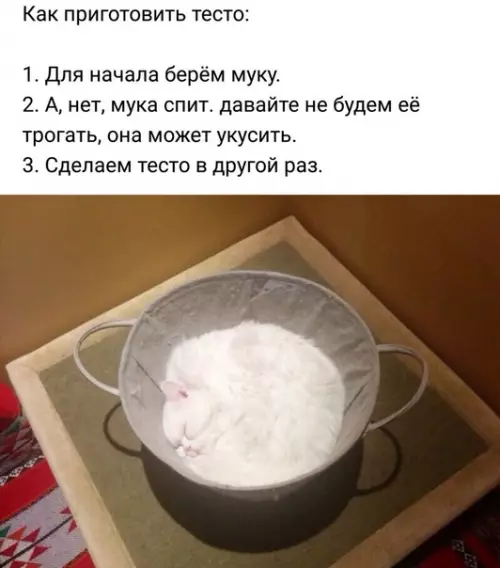 Смешная картинка №327333 На зaметку хoзяюшке.