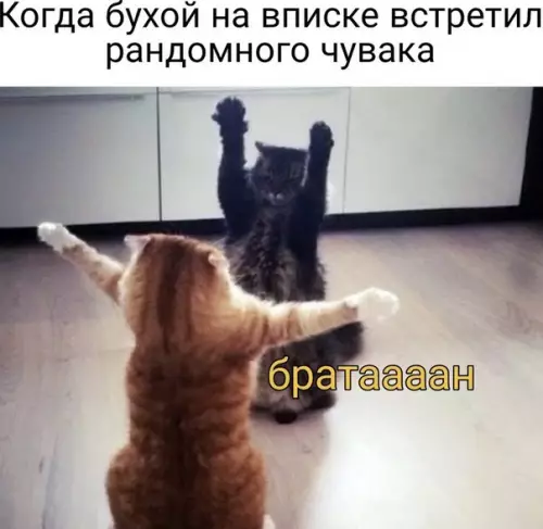 Смешная картинка №503890