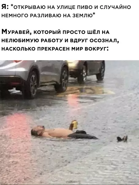 Смешная картинка №584858