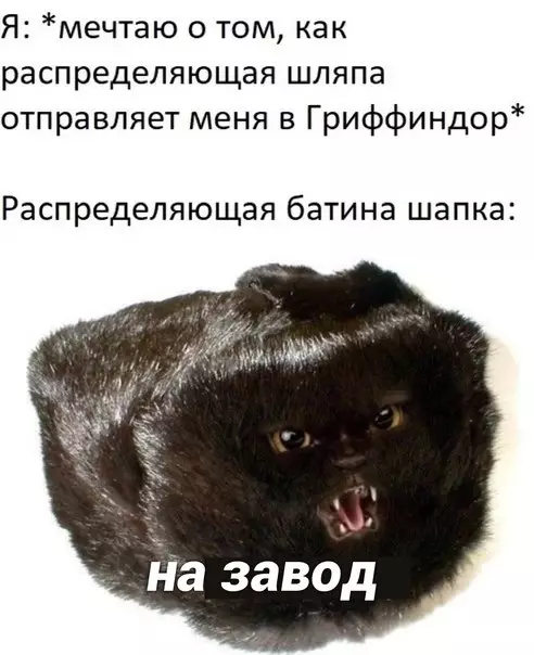 Гриффинор или завод? Выбор суров! 😂🛠️ - Я: мечтаю о том, как распределяющая шляпа отправляет меня в
