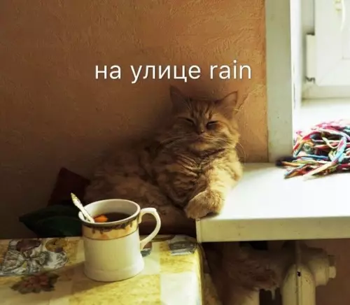 Смешная картинка №388571 Осенний муд: