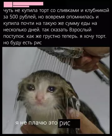 Смешная картинка №772903