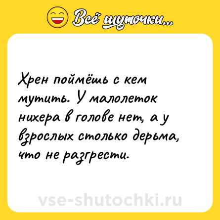 Шутка: Хрен поймёшь с кем мутить. У малолеток нихера в голове нет, а у взрослых столько дерьма, что не разгрести.