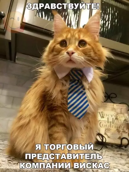 Смешная картинка №181709