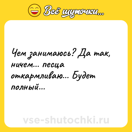 Шутка: Чем занимаюсь? Да так, ничем… песца откармливаю… Будет полный…