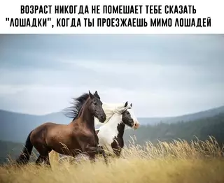 Смешная картинка №682341 С коровками так же