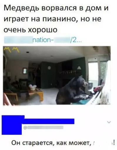 Смешная картинка №245965
