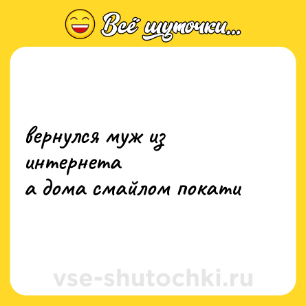Шутка: вернулся муж из интернета<br>а дома смайлом покати