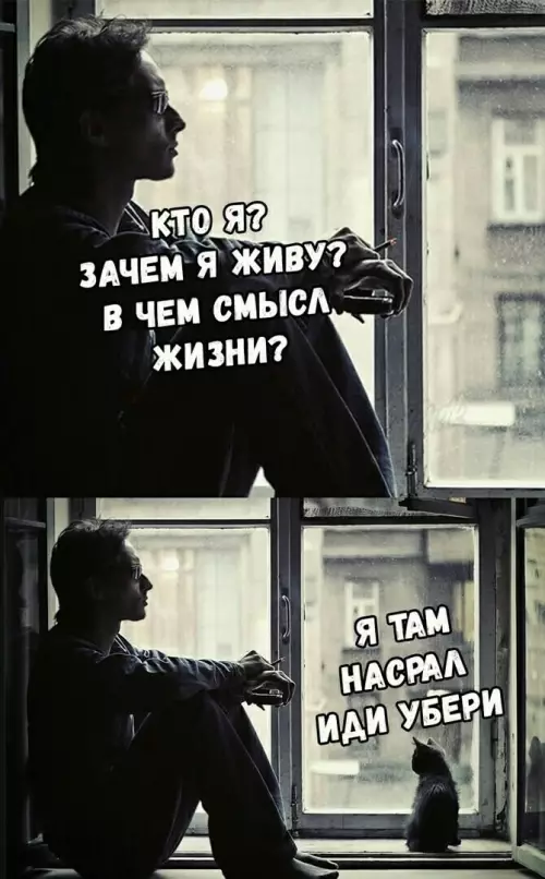 Смешная картинка №781467