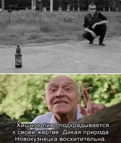 Смешная картинка №692147