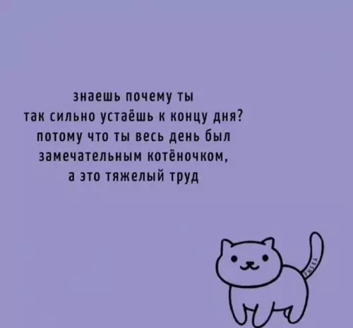 Смешная картинка №733535 Все ясно!