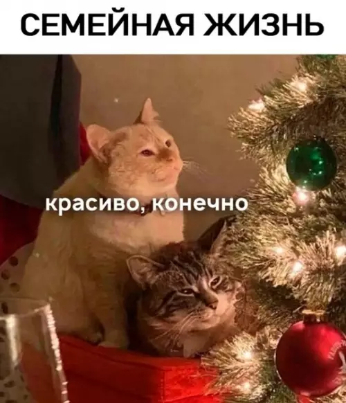 Смешная картинка №743621