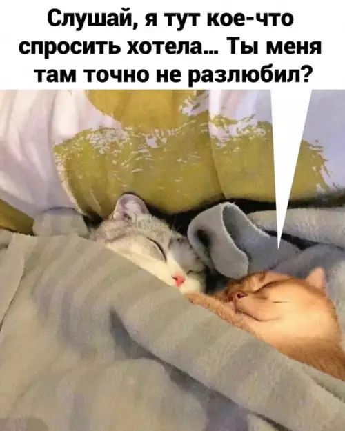 Смешная картинка №663910