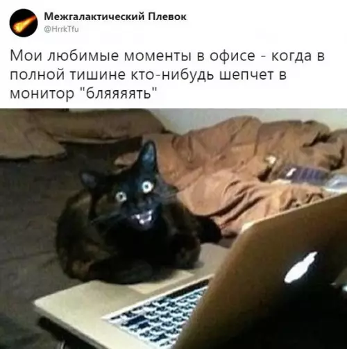 Смешная картинка №383472