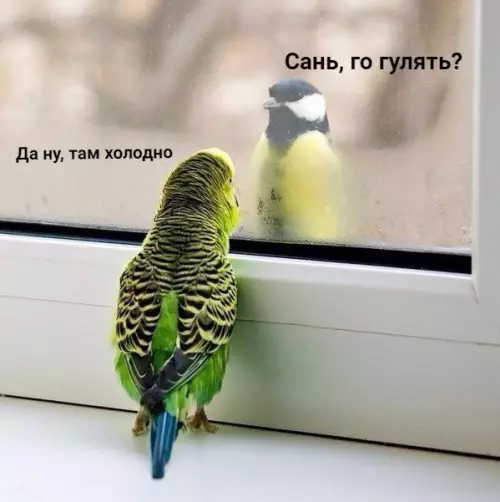 Смешная картинка №422028