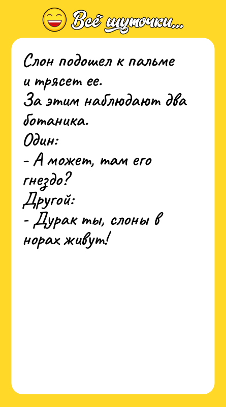 Слон подошел к пальме и трясет ее. За этим наблюдают