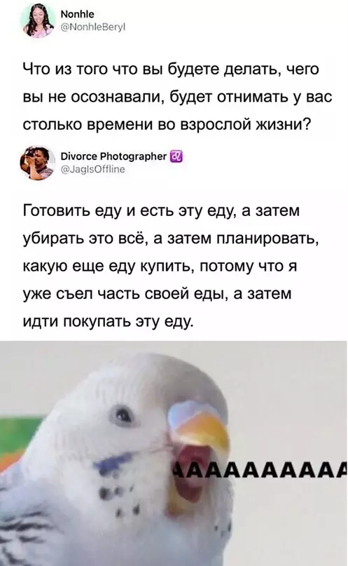 Смешная картинка №681276