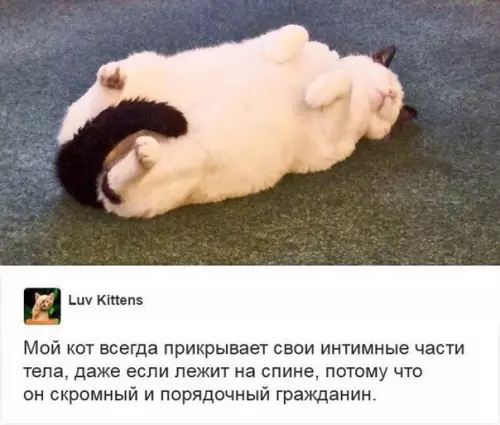 Смешная картинка №251161