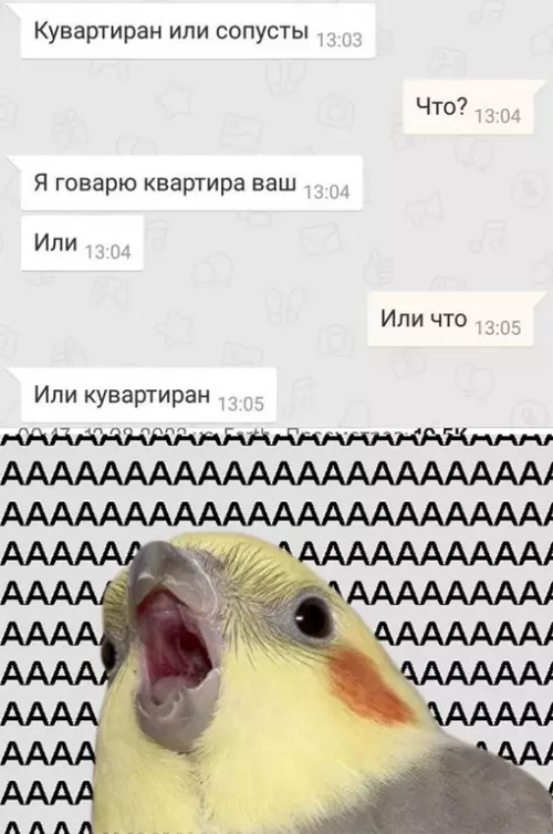 Смешная картинка №696243