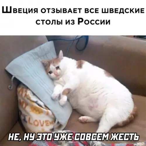 Смешная картинка №633254